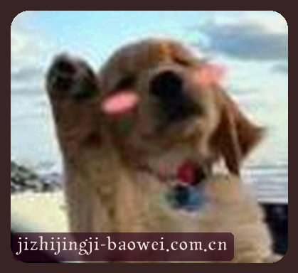 陈浩
